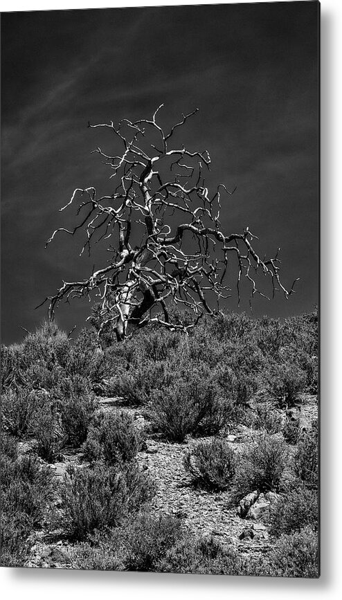 Deserted Metal Print featuring the photograph Deserted in the Desert by Phil Marty