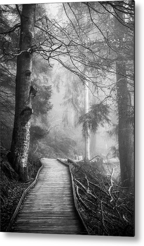 Black And White Metal Print featuring the photograph Divine Forest by Philippe Sainte-Laudy