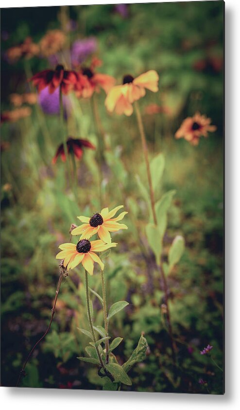 Flowers Metal Print featuring the photograph Drawing in by Gavin Lewis