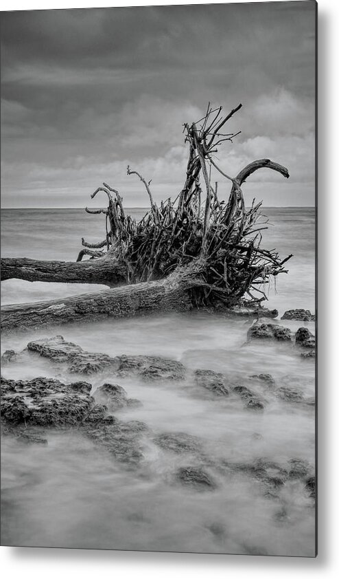 Black Metal Print featuring the photograph Driftwood Beach in Black and White by Carolyn Hutchins