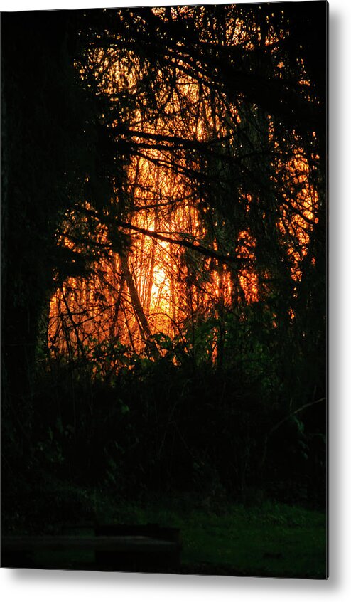 Sunset Metal Print featuring the photograph Dry Brush Campsite Sunset by Tikvah's Hope