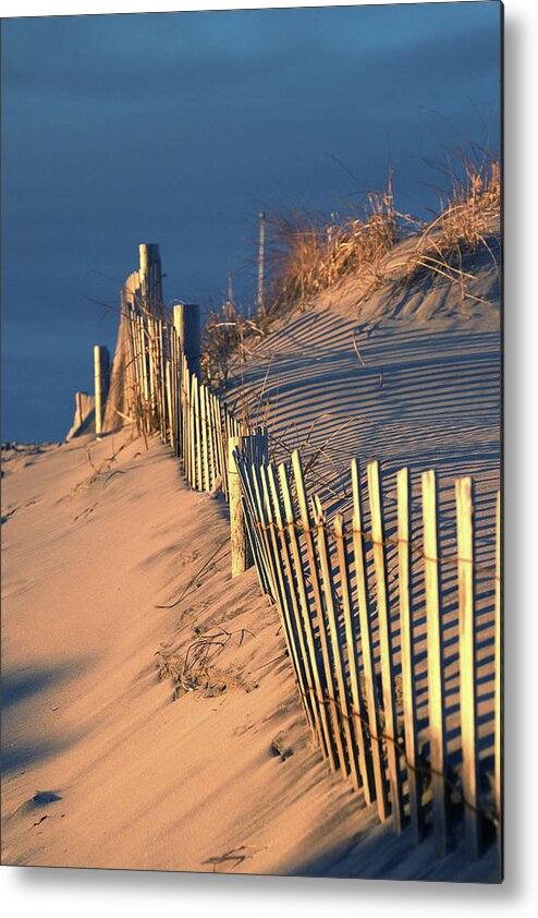 Beach Metal Print featuring the photograph Dune Fence by Seth Love