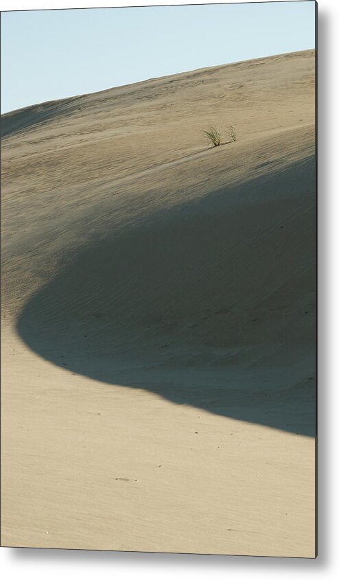 Shadow Metal Print featuring the photograph Dune by Melissa Southern