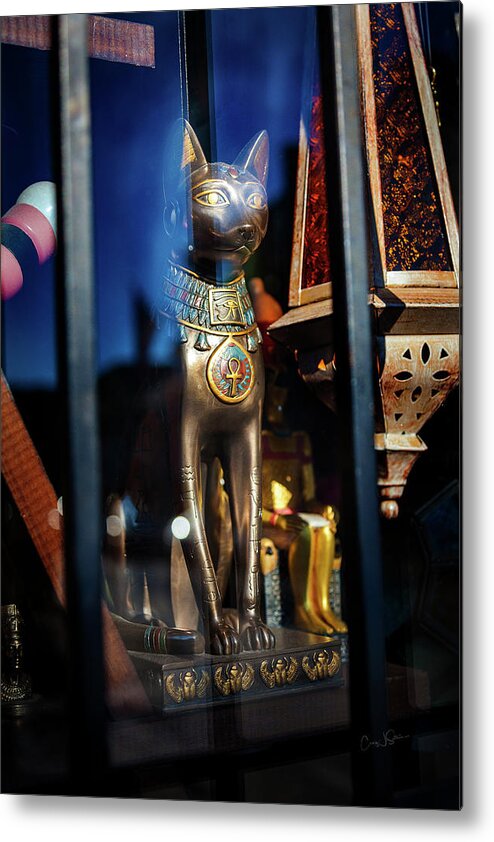 Egypt Metal Print featuring the photograph Egyptian Cat by Craig J Satterlee
