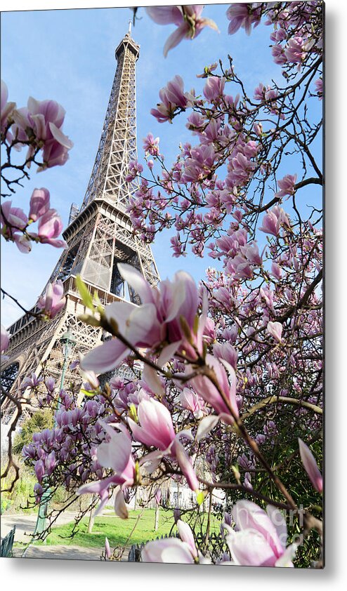 Eiffel Metal Print featuring the photograph Eiffel Tour and Magnolia by Anastasy Yarmolovich