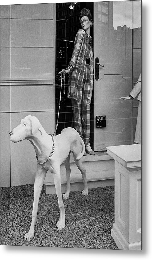 Greyhound Metal Print featuring the photograph Elegant mannequin with greyhound, London Knightsbridge 1980 by Roberto Bigano