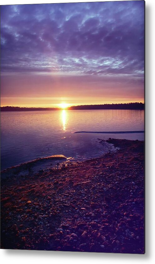 National Park Metal Print featuring the photograph Faces of Maasduinen 3 by Jaroslav Buna