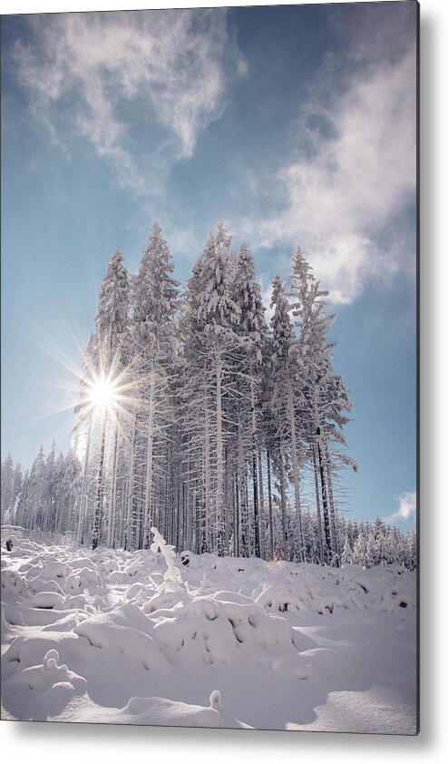 Highlands Metal Print featuring the photograph Fairy-tale wilderness covered in snow by Vaclav Sonnek