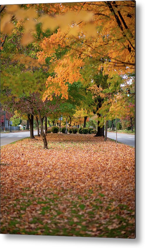 Westover Hills Metal Print featuring the photograph Fall In Westover Hills Richmond VA by Doug Ash