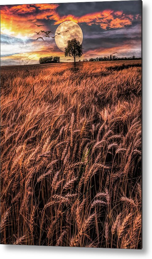 Barn Metal Print featuring the photograph Fields in Early Evening II Painting by Debra and Dave Vanderlaan