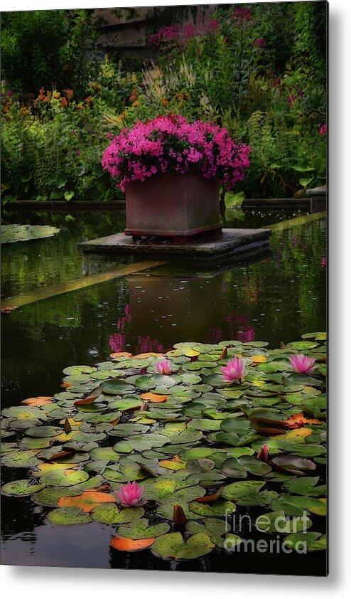 Water Lilies Metal Print featuring the photograph Floral Oasis by Yvonne Johnstone