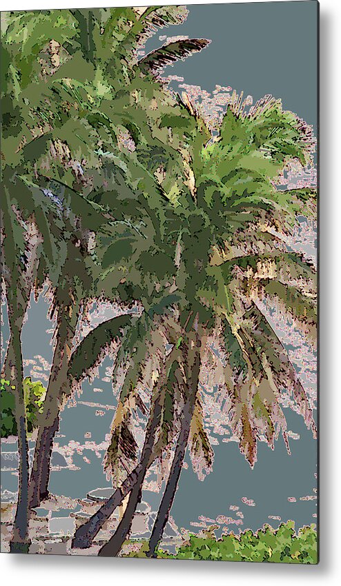 Palm Metal Print featuring the photograph Florida Palm Trees by Corinne Carroll