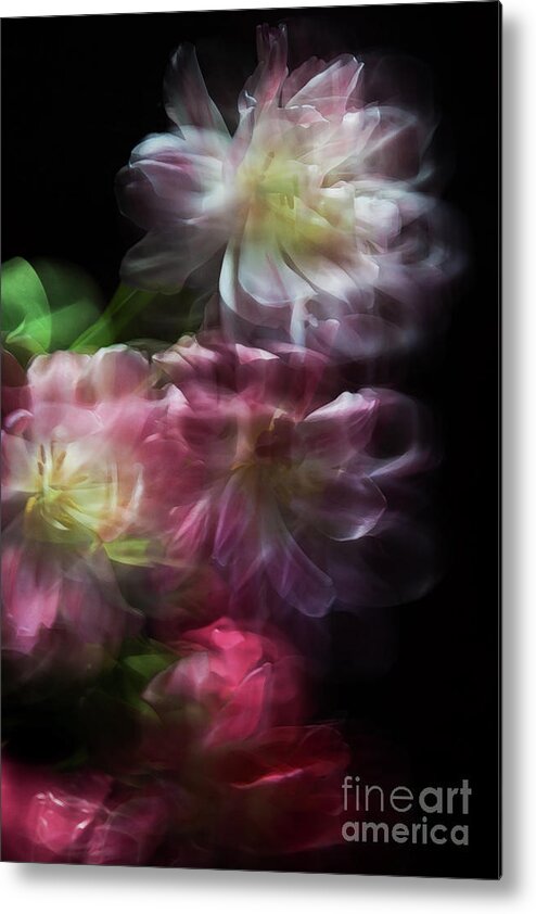 Tulips Metal Print featuring the photograph Flowing Tulips by Neala McCarten