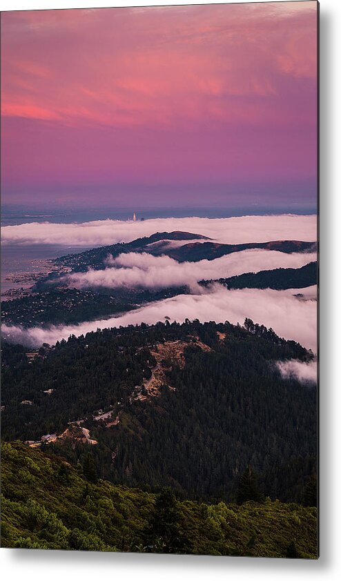  Metal Print featuring the photograph Fog Fingers by Louis Raphael