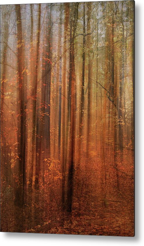 Photography Metal Print featuring the digital art Forest Dream by Terry Davis