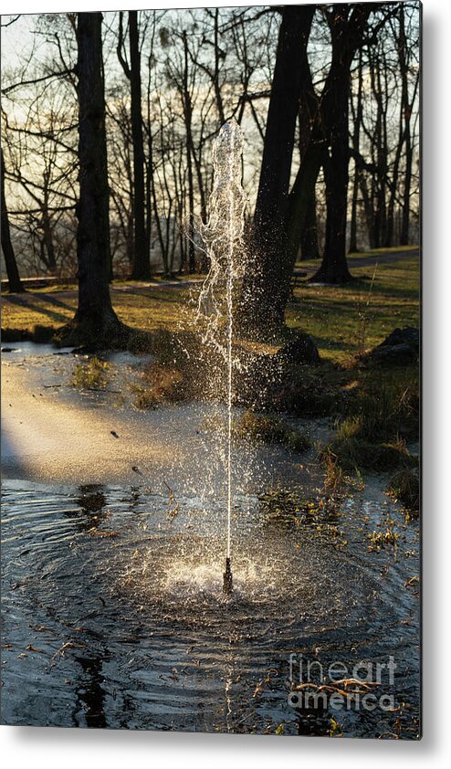 Fountain Metal Print featuring the photograph Fountain and trees in the evening light 2 by Adriana Mueller