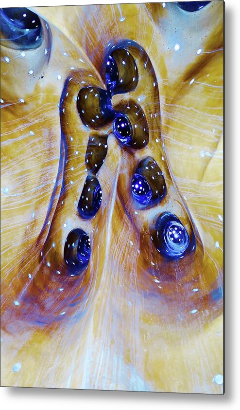 Color Photograph Metal Print featuring the photograph From Inside by Mike Reilly