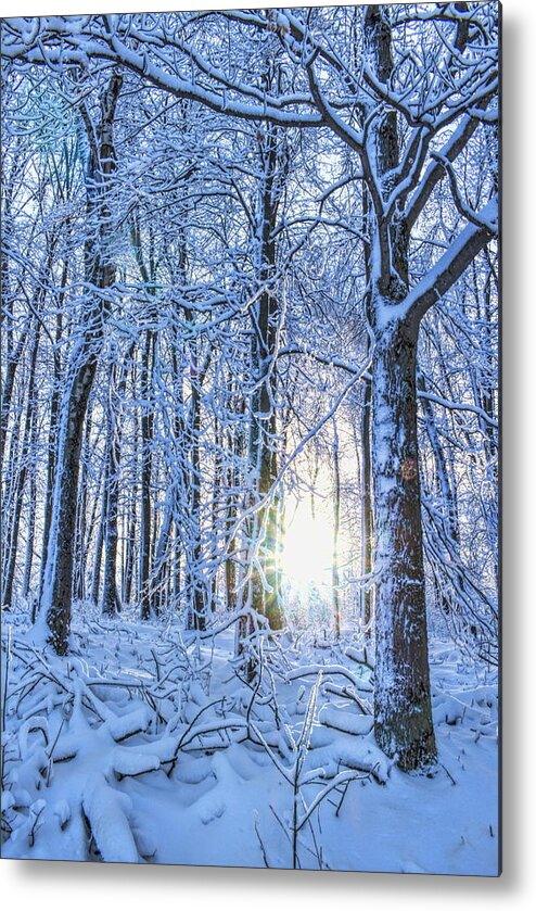 Winter Metal Print featuring the photograph Frozen Sunset Through The Woods by Dale Kauzlaric