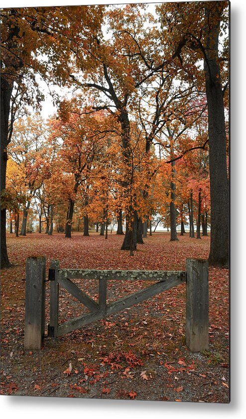  Metal Print featuring the photograph Gates to fall by Natalia Baquero