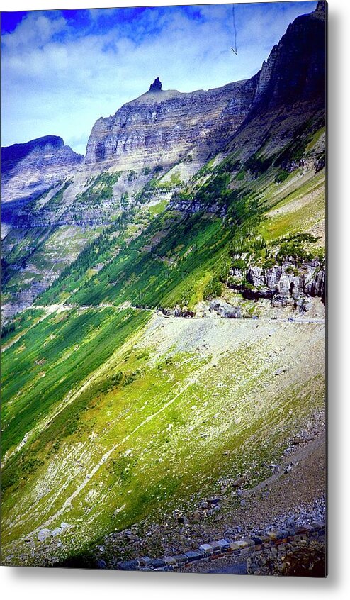  Metal Print featuring the photograph Green Layer by Gordon James