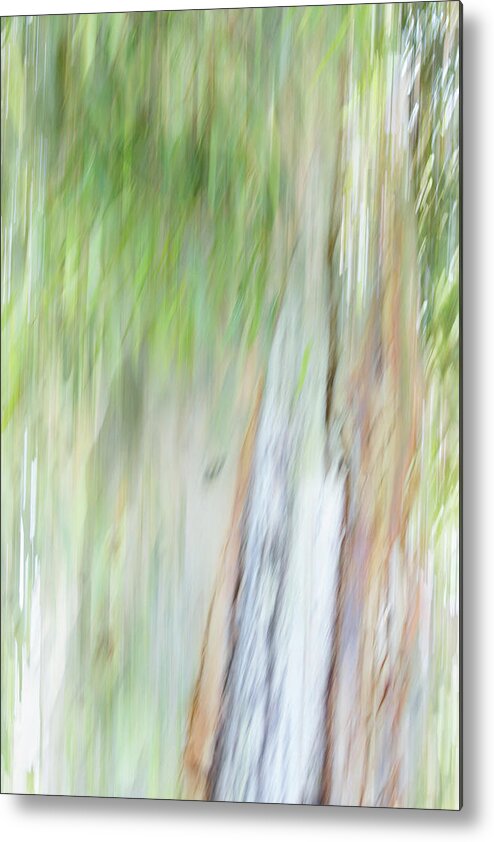 Impressionism Metal Print featuring the photograph Gum Tree by Cheryl Day