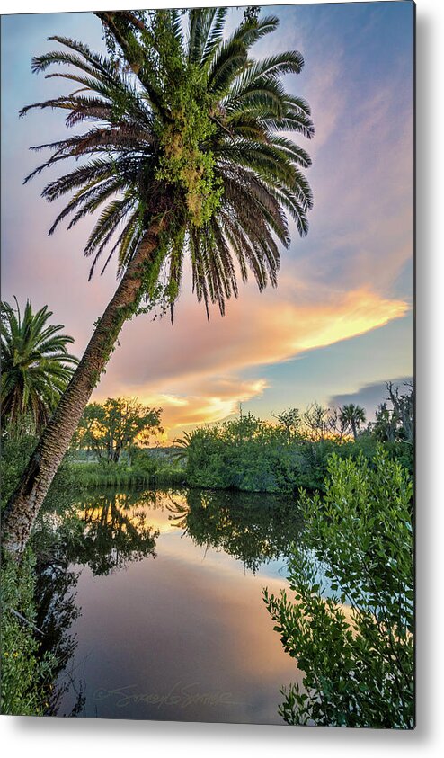 Old Florida Metal Print featuring the photograph High Bridge Palm by Stacey Sather