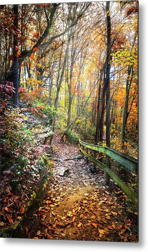 Cherokee Metal Print featuring the photograph Hiking the Rim at Cloudland Canyon by Debra and Dave Vanderlaan