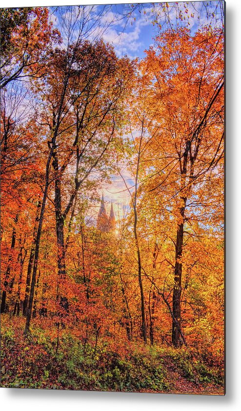 Church Metal Print featuring the photograph Holy Hill Basilica Through The Maples by Dale Kauzlaric