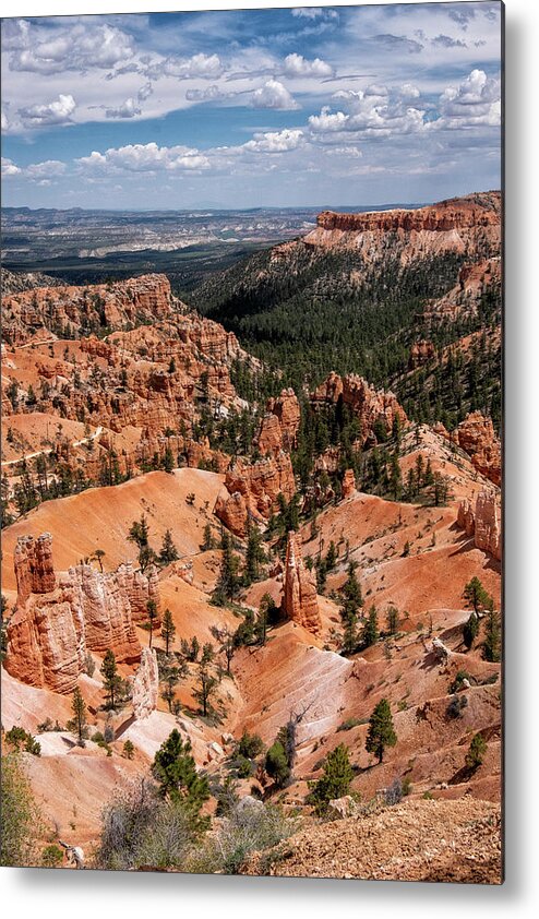 Bryce Metal Print featuring the photograph Hoodoo Heaven II by Phil Marty