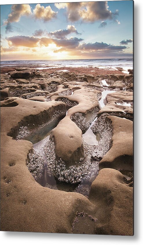 Beautiful Metal Print featuring the photograph Hospitals Reef La Jolla by Gary Geddes