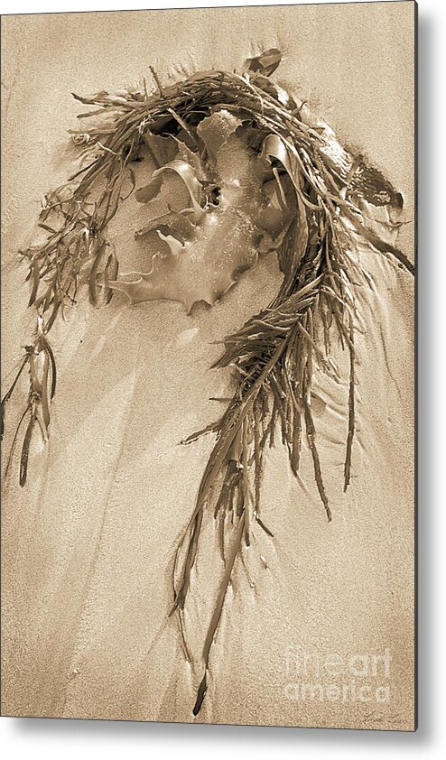 Sand Metal Print featuring the photograph I followed my heart and it led me to the beach by Linda Lees