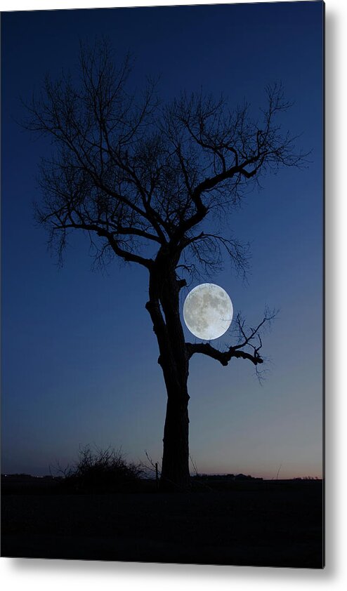 Frost Moon Metal Print featuring the photograph Idiosyncrasy by Aaron J Groen