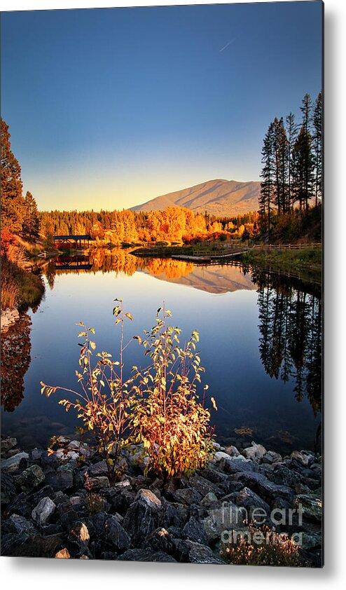 Lake Metal Print featuring the photograph Idlewild Reflections by Thomas Nay