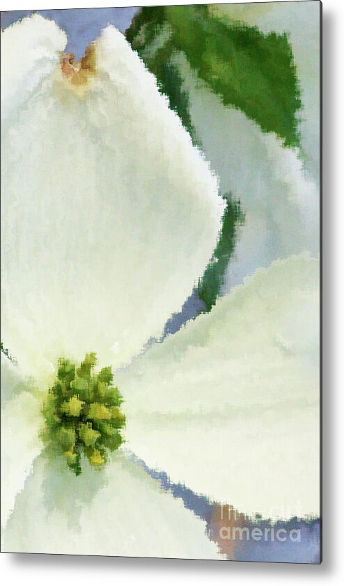 Dogwood; Dogwood Blossom; Blossom; Flower; Impressionist; Macro; Close Up; Petals; Green; White; Blue; Calm; Square; Pastel; Leaves; Tree; Branches Metal Print featuring the digital art Impression Dogwood 4 by Tina Uihlein