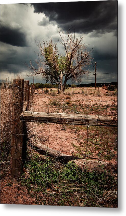 Arizona Metal Print featuring the photograph In the Eye of the Storm by Carmen Kern