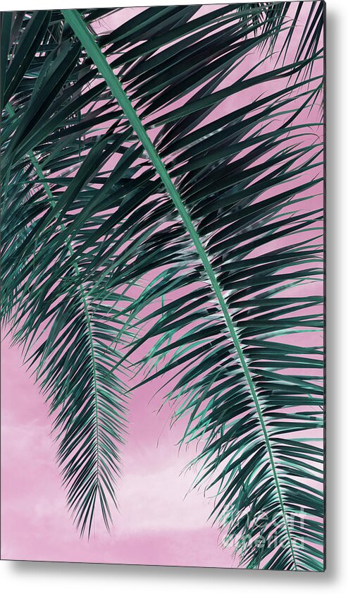 Palm Leaf Metal Print featuring the photograph In the shade of a date palm, leaves and pink sky by Adriana Mueller