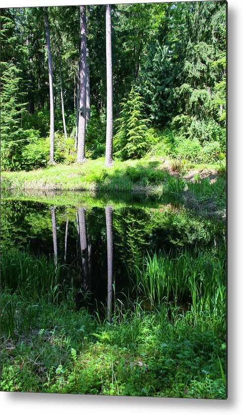 Hike Metal Print featuring the photograph In the trees by Leslie Struxness
