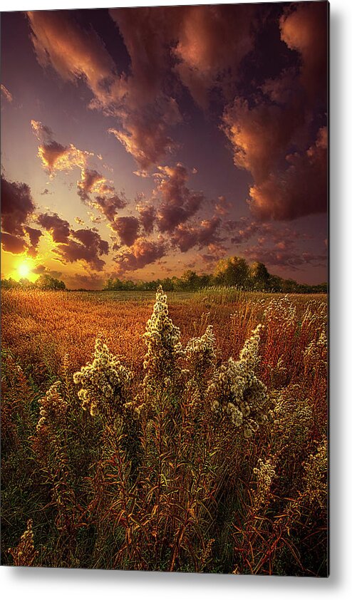 Inspirational Metal Print featuring the photograph It's Worth Reaching For by Phil Koch