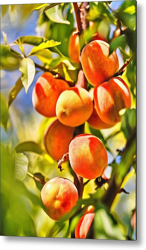 Just Peachy Metal Print featuring the painting Just Peachy by Harry Warrick