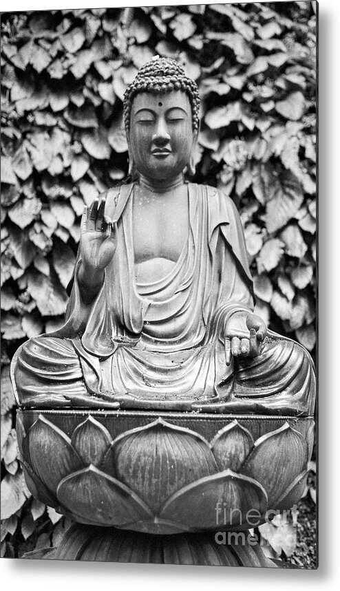 Buddha Metal Print featuring the photograph Kamakura Buddha IX by Dean Harte