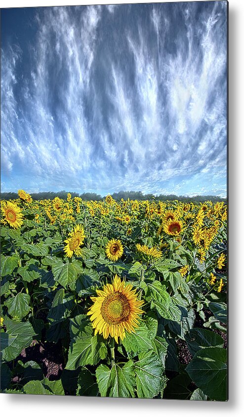 Hope Metal Print featuring the photograph Keep Your Face To The Son by Phil Koch