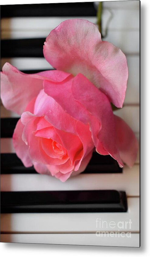 Music Metal Print featuring the photograph Kiss From A Rose Maria Callas On The Piano by Leonida Arte