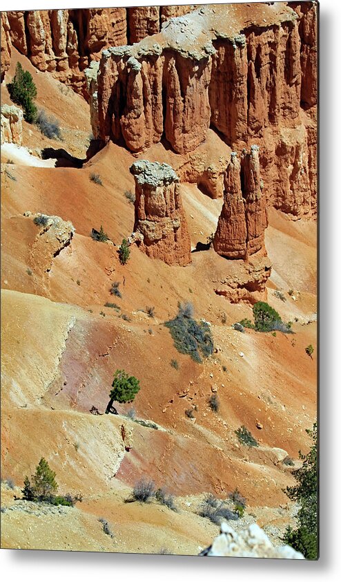 Utah Metal Print featuring the photograph Layers Of Land - Bryce Canyon by Jennifer Robin
