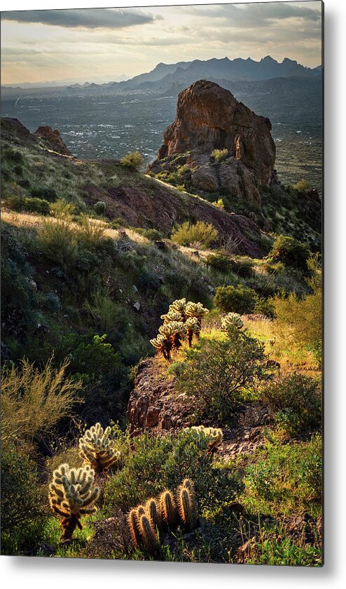 Sunset Metal Print featuring the photograph Layers Of The Desert by Saija Lehtonen