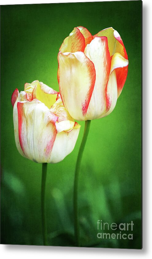 Beauty Of Spring Metal Print featuring the photograph Lean on Me 2 by Anita Pollak