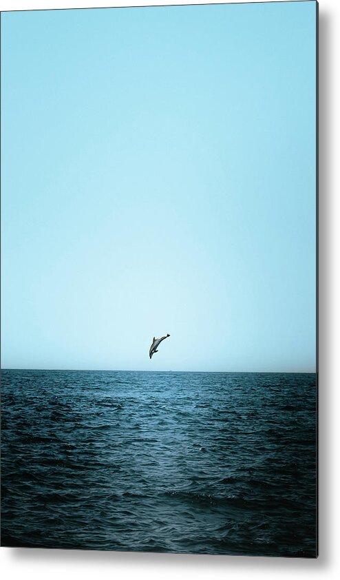Dolphin Metal Print featuring the photograph Leaps of Joy by Sina Ritter