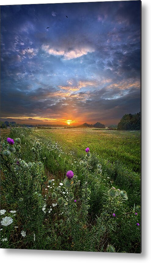 Fineart Metal Print featuring the photograph Let Your Life Speak by Phil Koch