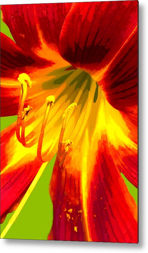 Nature Metal Print featuring the pastel Lily on Fire by Judy Cuddehe