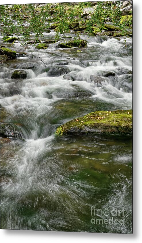 Smokies Metal Print featuring the photograph Little River 4 by Phil Perkins