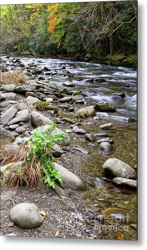 Water Metal Print featuring the photograph Little River In Autumn by Phil Perkins